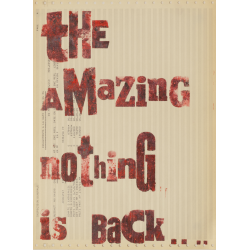 the amazing nothing
